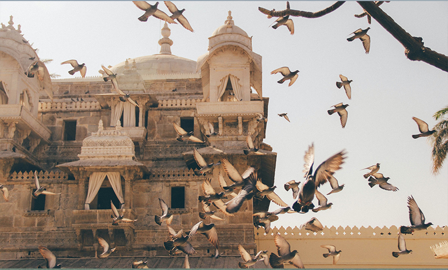 Rajasthan with Agra 9N 10D Tour Package