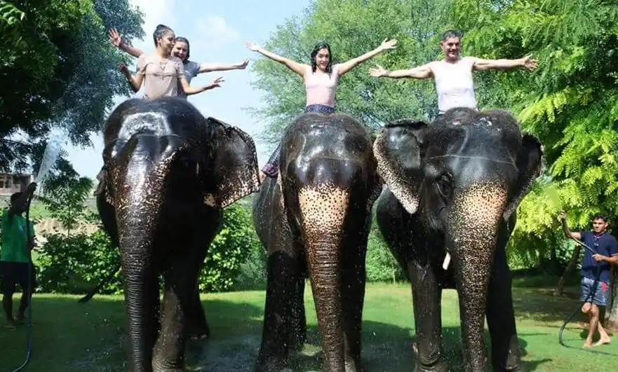 Amazing Udaipur 5N 6D Tour Package