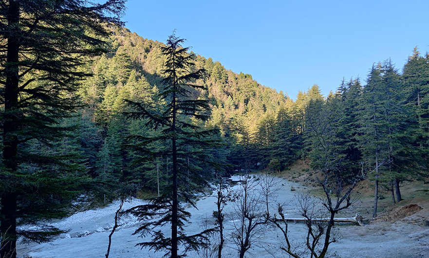 Charming Uttrakhand 10N 11D Tour Package
