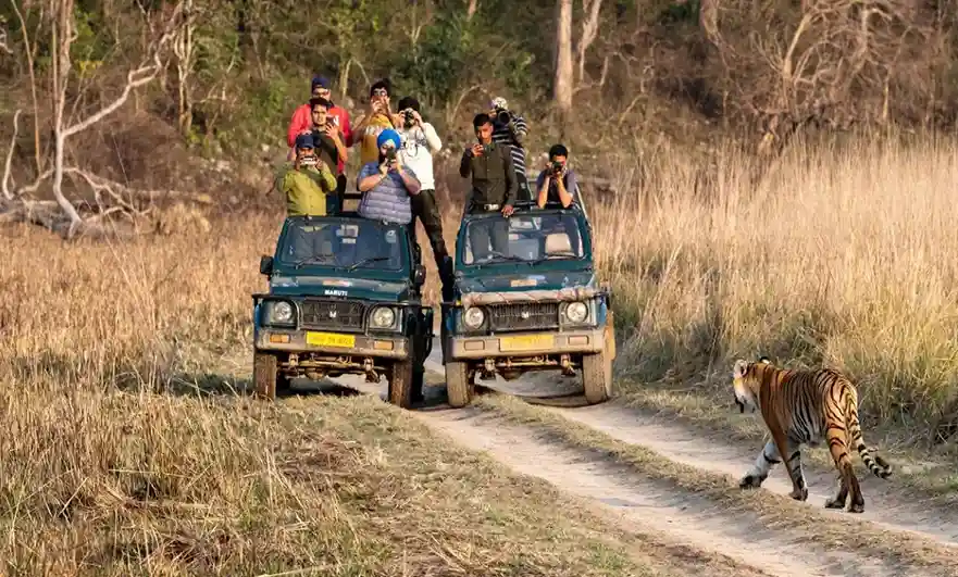Corbett with Mussoorie Tour Package 5N 6D