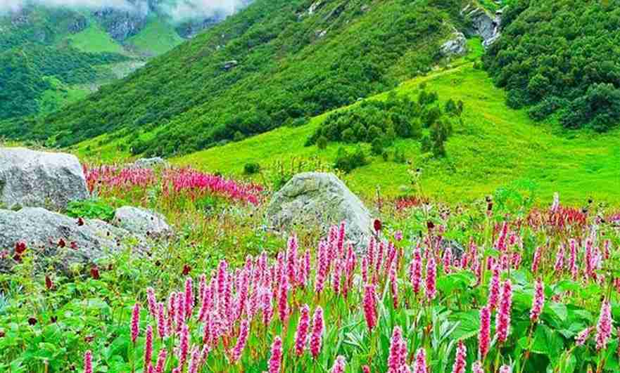 Do Dham 4N 5D Yamunotri Badrinath Ex Rishikesh