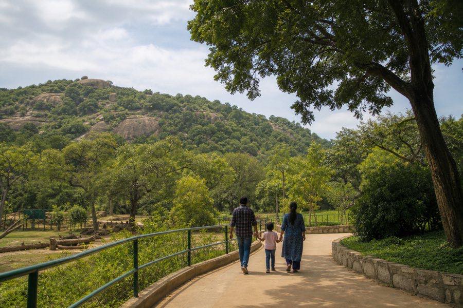 Family walkway in the green landscape at Bannerghatta near Bangalore