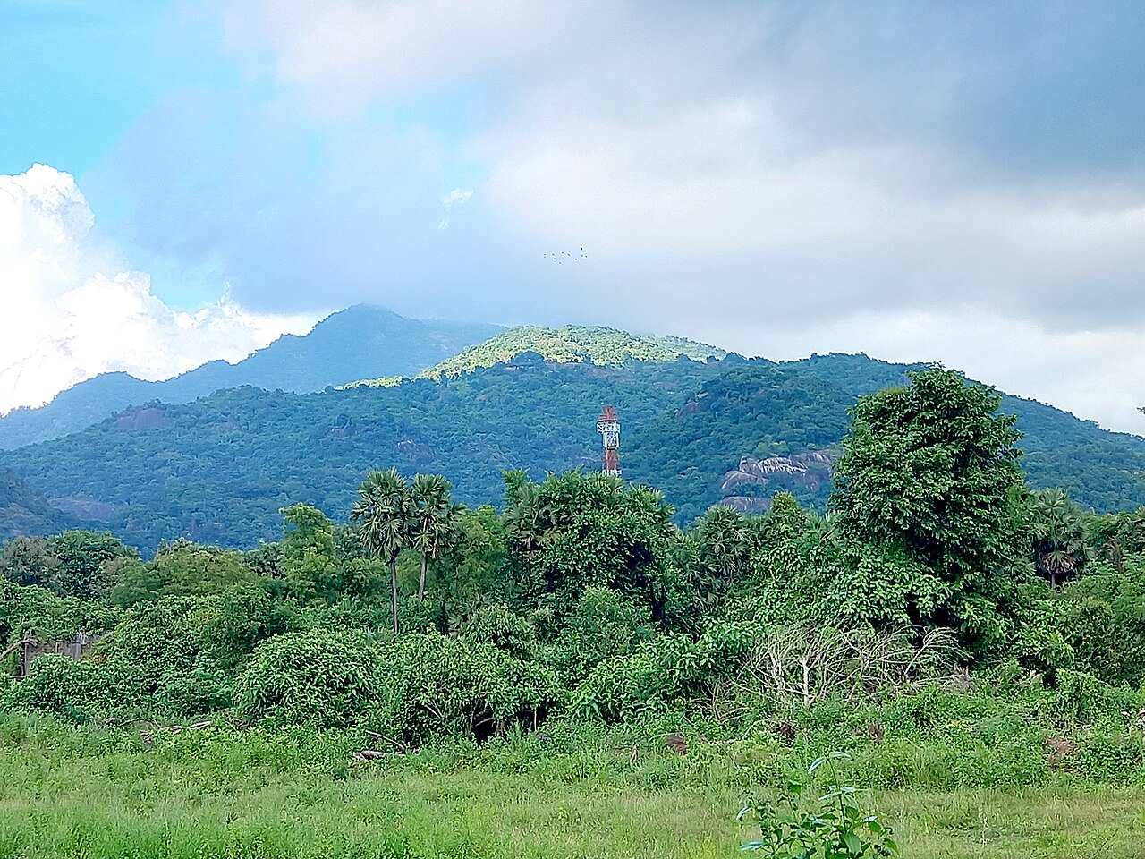 Green hills in Araku Valley