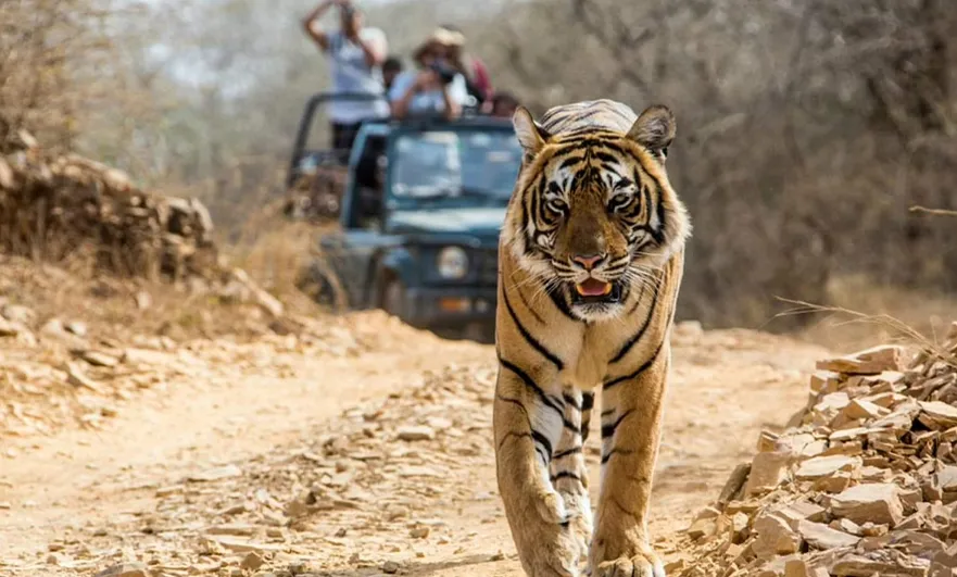 Amazing Corbett Nainital 3N 4D Taxi Package