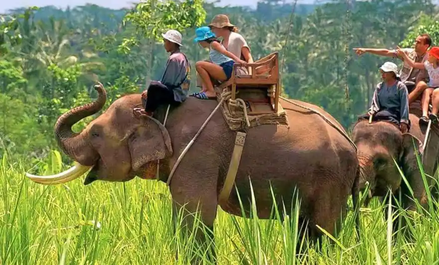 Amazing Corbett Nainital 3N 4D Taxi Package