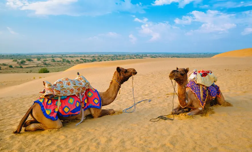 Golden Triangle with Pushkar 4N 5D Tour Package