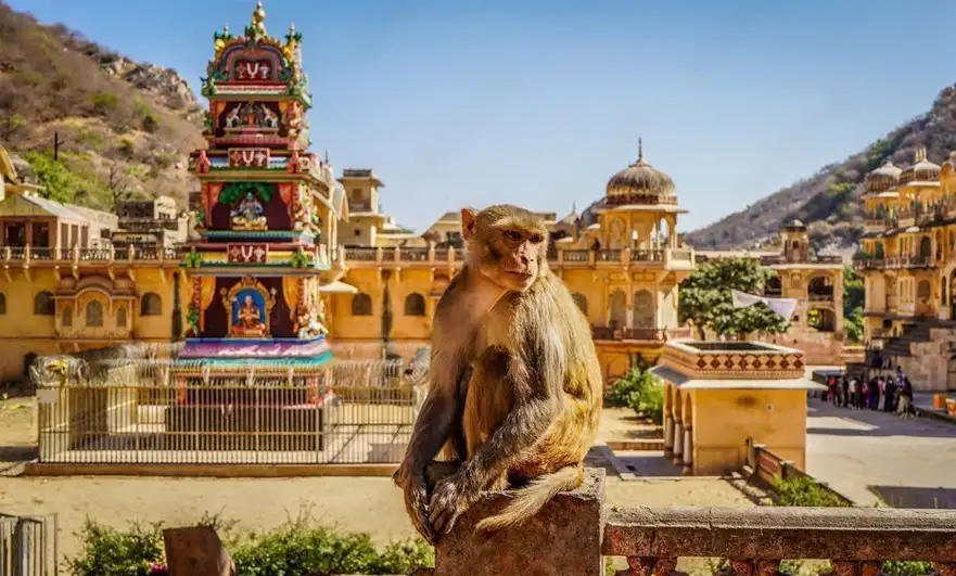 Holi City Pushkar with Agra 3N 4D Tour Package