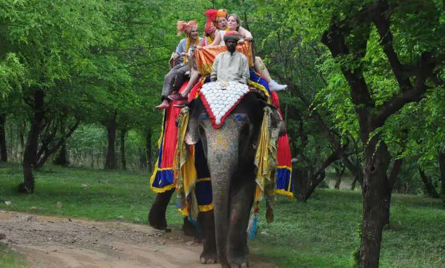 Jaipur Ranthambore Bharatpur Agra 5N 6D Tour Package